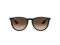 Ray-Ban Erika Zonnebril RB 4171 6315/13