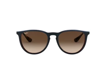 Ray-Ban Erika Zonnebril RB 4171 6315/13