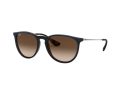 Ray-Ban Erika Zonnebril RB 4171 6315/13