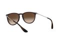 Ray-Ban Erika Zonnebril RB 4171 6315/13