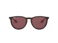 Ray-Ban Erika Zonnebril RB 4171 6391/75