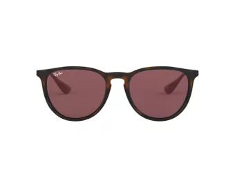 Ray-Ban Erika Zonnebril RB 4171 6391/75