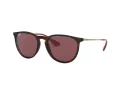 Ray-Ban Erika Zonnebril RB 4171 6391/75