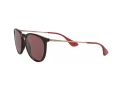 Ray-Ban Erika Zonnebril RB 4171 6391/75