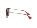 Ray-Ban Erika Zonnebril RB 4171 6391/75