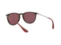 Ray-Ban Erika Zonnebril RB 4171 6391/75