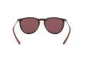 Ray-Ban Erika Zonnebril RB 4171 6391/75