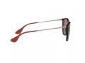 Ray-Ban Erika Zonnebril RB 4171 6391/75
