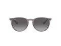 Ray-Ban Erika Zonnebril RB 4171 6513/8G