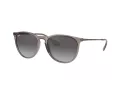 Ray-Ban Erika Zonnebril RB 4171 6513/8G
