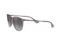 Ray-Ban Erika Zonnebril RB 4171 6513/8G