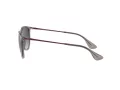 Ray-Ban Erika Zonnebril RB 4171 6513/8G