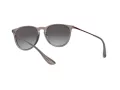 Ray-Ban Erika Zonnebril RB 4171 6513/8G