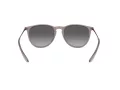 Ray-Ban Erika Zonnebril RB 4171 6513/8G