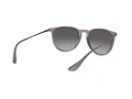 Ray-Ban Erika Zonnebril RB 4171 6513/8G