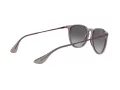 Ray-Ban Erika Zonnebril RB 4171 6513/8G