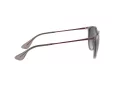 Ray-Ban Erika Zonnebril RB 4171 6513/8G