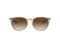 Ray-Ban Erika Zonnebril 4171 651413