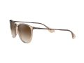 Ray-Ban Erika Zonnebril 4171 651413