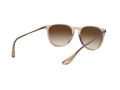 Ray-Ban Erika Zonnebril 4171 651413