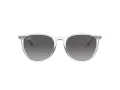 Ray-Ban Erika Zonnebril RB 4171 651611