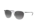 Ray-Ban Erika Zonnebril RB 4171 651611