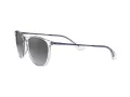 Ray-Ban Erika Zonnebril RB 4171 651611