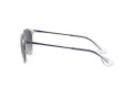 Ray-Ban Erika Zonnebril RB 4171 651611