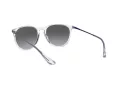 Ray-Ban Erika Zonnebril RB 4171 651611