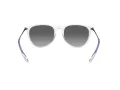 Ray-Ban Erika Zonnebril RB 4171 651611