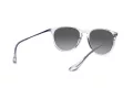 Ray-Ban Erika Zonnebril RB 4171 651611