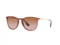 Ray-Ban Erika Zonnebril RB 4171 6590/13