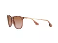 Ray-Ban Erika Zonnebril RB 4171 6590/13