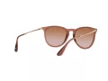 Ray-Ban Erika Zonnebril RB 4171 6590/13