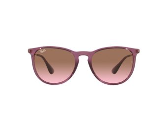 Ray-Ban Erika Zonnebril RB 4171 6591/14