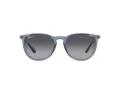 Ray-Ban Erika Zonnebril RB 4171 6592T3