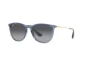 Ray-Ban Erika Zonnebril RB 4171 6592T3
