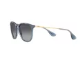 Ray-Ban Erika Zonnebril RB 4171 6592T3