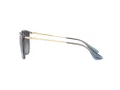 Ray-Ban Erika Zonnebril RB 4171 6592T3