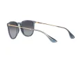 Ray-Ban Erika Zonnebril RB 4171 6592T3