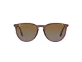 Ray-Ban Erika Zonnebril RB 4171 6593/T5