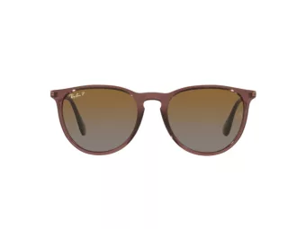 Ray-Ban Erika Zonnebril RB 4171 6593/T5