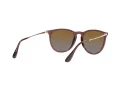 Ray-Ban Erika Zonnebril RB 4171 6593/T5