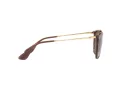 Ray-Ban Erika Zonnebril RB 4171 6593/T5