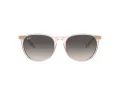 Ray-Ban Erika Zonnebril RB 4171 674211