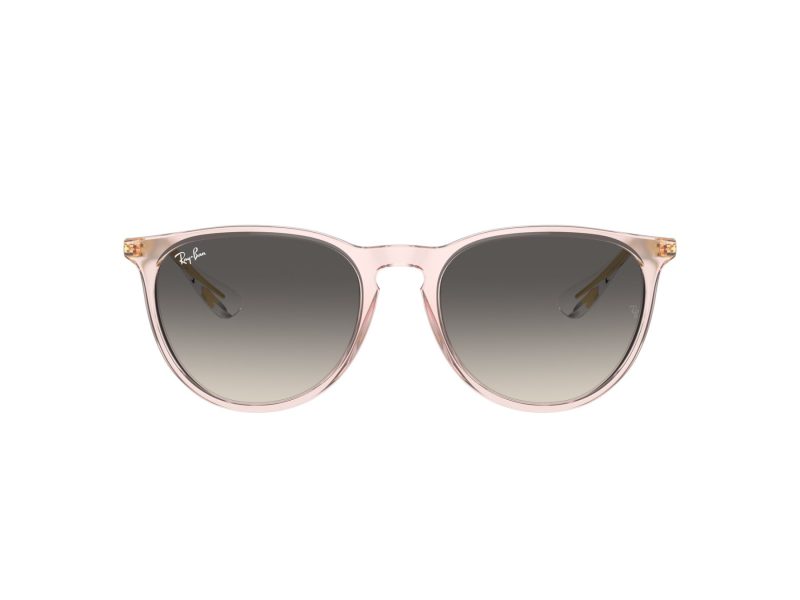 Ray-Ban Erika Zonnebril RB 0RB4171 674211