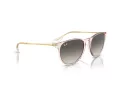 Ray-Ban Erika Zonnebril RB 4171 674211