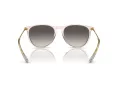 Ray-Ban Erika Zonnebril RB 4171 674211