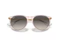 Ray-Ban Erika Zonnebril RB 4171 674211