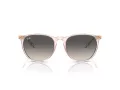 Ray-Ban Erika Zonnebril RB 4171 674211